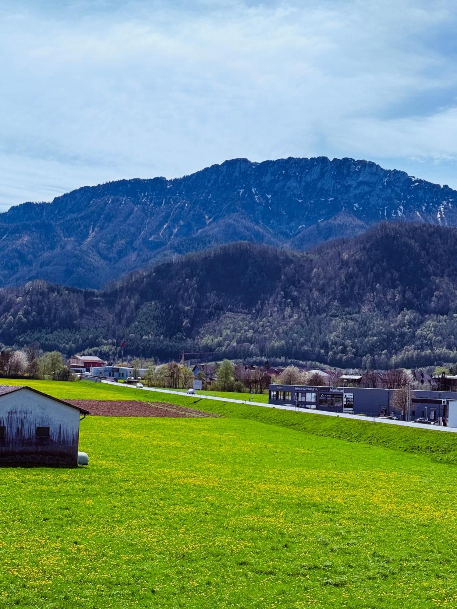 Zentrale Wohnung Mit Alpenblick Micheldorf in Oberösterreich Exteriör bild